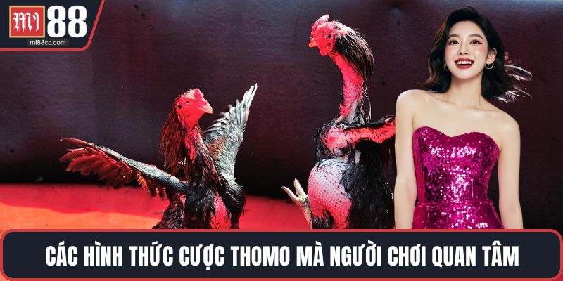 Các hình thức cược Thomo mà người chơi quan tâm