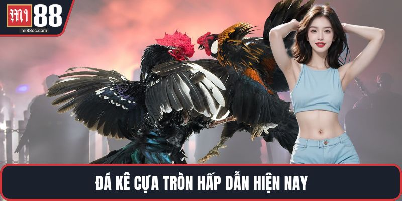 Đá kê cựa tròn hấp dẫn hiện nay